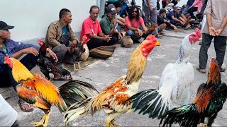 Download lagu Pedan Market Klaten Latest Update Wednesday Wage many superan present boss there is Bulbi salju mp3 Download lagu Pedan Market Klaten Latest Update Wednesday Wage many superan present boss there is Bulbi salju mp3