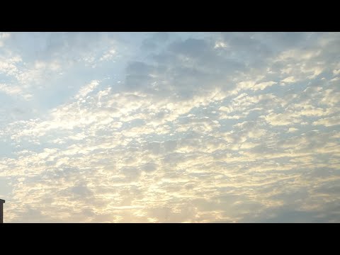 jypv 20250126 travel vlog