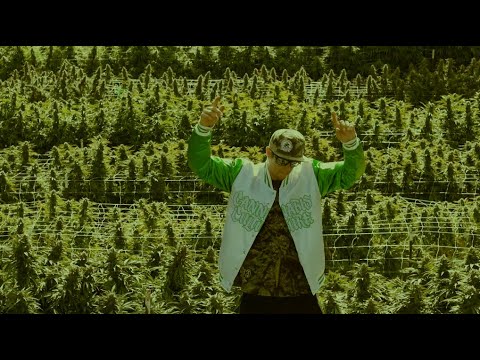 Mendo Dope "All I See Is Green" - Official Music Video