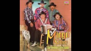 Me agarraste borracho - Mingo Saldivar y sus Tremendos Cuatro Espadas