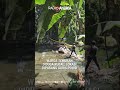 Home 22 Video thumbnail
