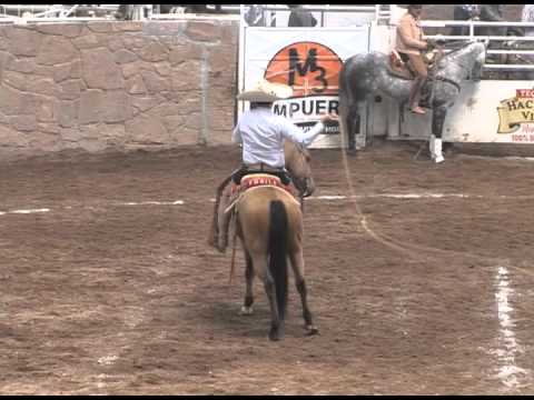 Remante de fantasía en pial de ruedo #CompirriStyle