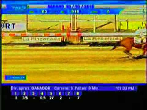 Resumen Sábado, 16 de Octubre de 2010 - La Rinconada