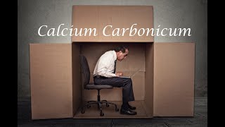 Calcium Carbonicum - Ahnenmedizin & Seelenhomöopathie von Kim Fohlenstein