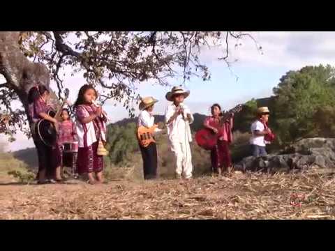 download lagu mp3 mp4 Mis Animalitos, download mp3 Mis Animalitos free downloadn, video klip Mis Animalitos