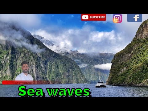 Sea Waves l Wave Sounds l Relax mood #evergreen #seawaves@Kam2373
