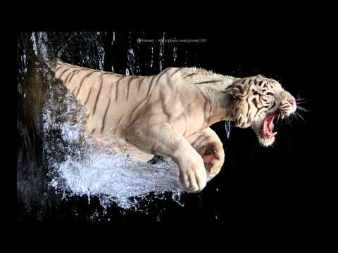 Willpower [Intense Orchestral Rhythmic]