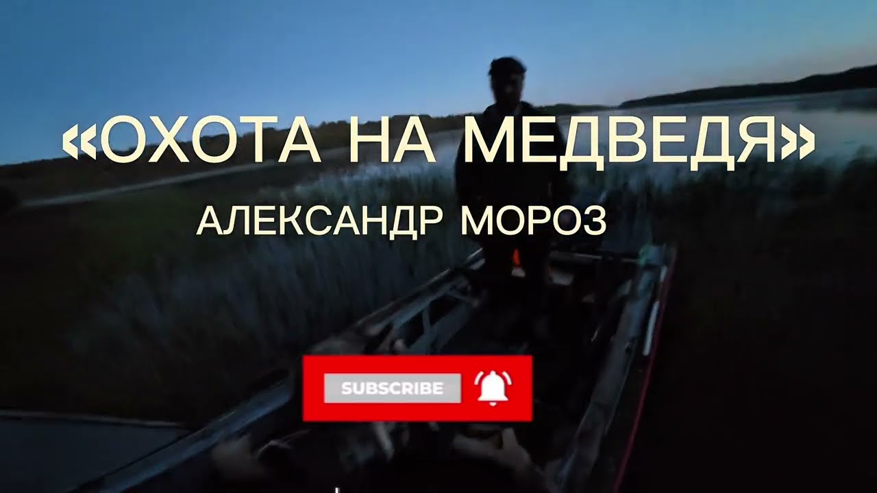 Первый медведь осеннего сезона.