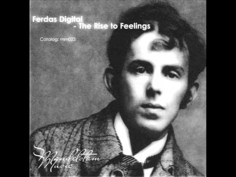 Ferdas Digital - The rise to feelings (Original Mix)