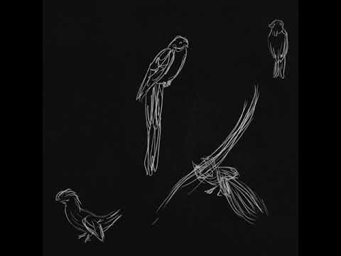 STAND HIGH PATROL - Morning