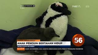 Download lagu Good Afternoon World In 90 Second mp3 Download lagu Good Afternoon World In 90 Second mp3