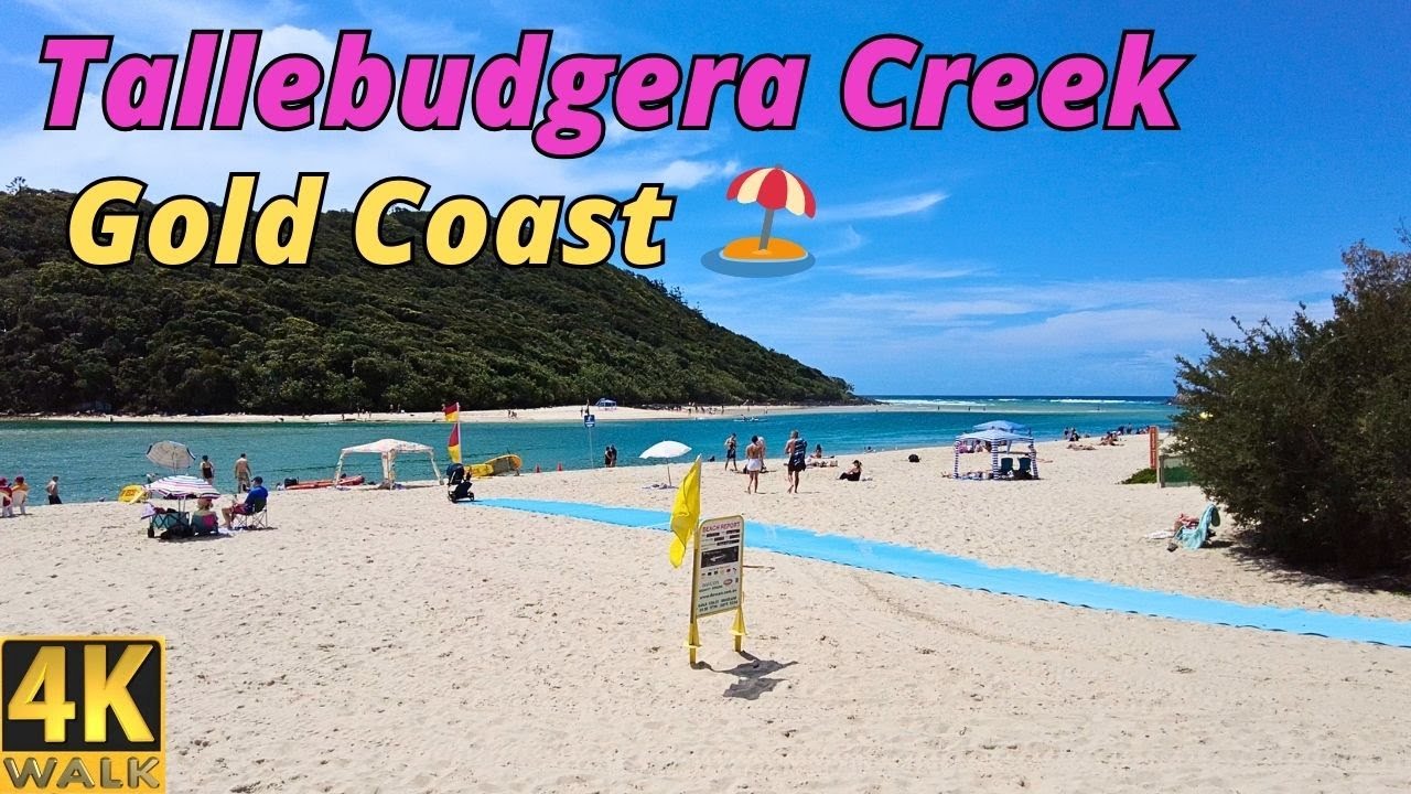 Dive into a captivating walking tour along Tallebudgera Creek.
