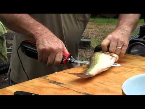 download lagu mp3 mp4 Fish Cutting Electric Knife, download lagu Fish Cutting Electric Knife gratis, unduh video klip Fish Cutting Electric Knife
