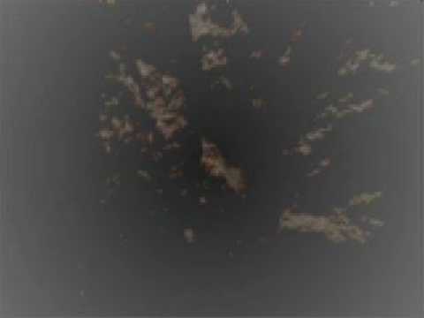 Jeta ne Vareza !!! Ligjeron Hoxha i nderuar Ekrem Avdiu P5 fund