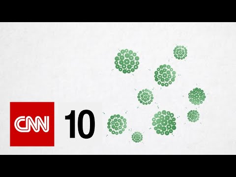 關於黴菌，您需要知道什麼？ (What You Need To Know About Mold)