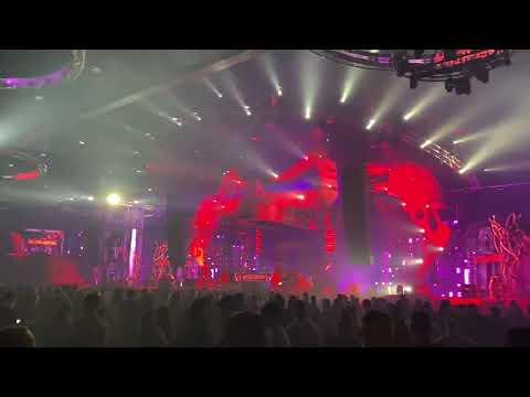 Masters of Hardcore 2024: Ophidian