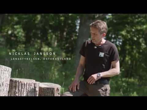 Att bygga en ekoxekompost