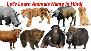 Let's Learn Animals Name in Hindi || Cute Animals Video Cow, zebra || Animals Video | #cow cow video