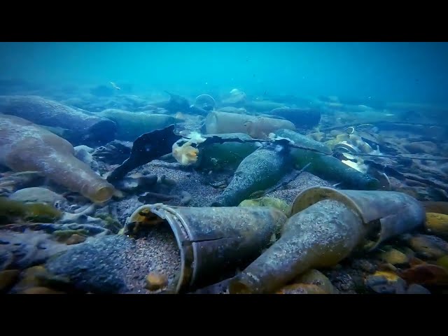 Дайверы убирают реки