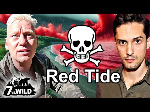 7 Vs. Wild: ALL about the Red Tide | Biologist explains