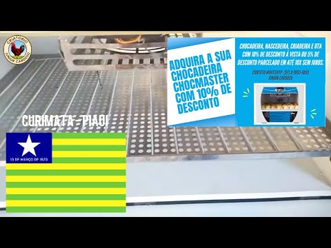 Curimatá no Piauí recebe a CHOCADEIRA JULI 120 com o Cupom de Desconto do #criatoriojuniorcardoso 