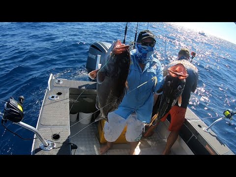 How to catch Bar Cod and Flame Snapper using Electric Reels in 280m Gold Coast Australia