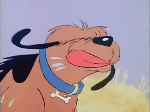 El perro Dinky - La lampara mágica