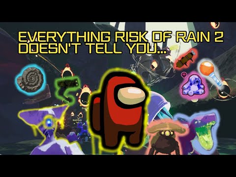 Everything Risk Of Rain 2 Doesn't Tell You... Beginner's Guide