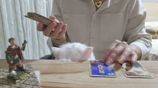 QUINTA FEIRA DA PESSOA AMADA! 27 99811 6845