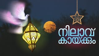New Status Video  Nilavu Kaikkum Shajarinte Song  
