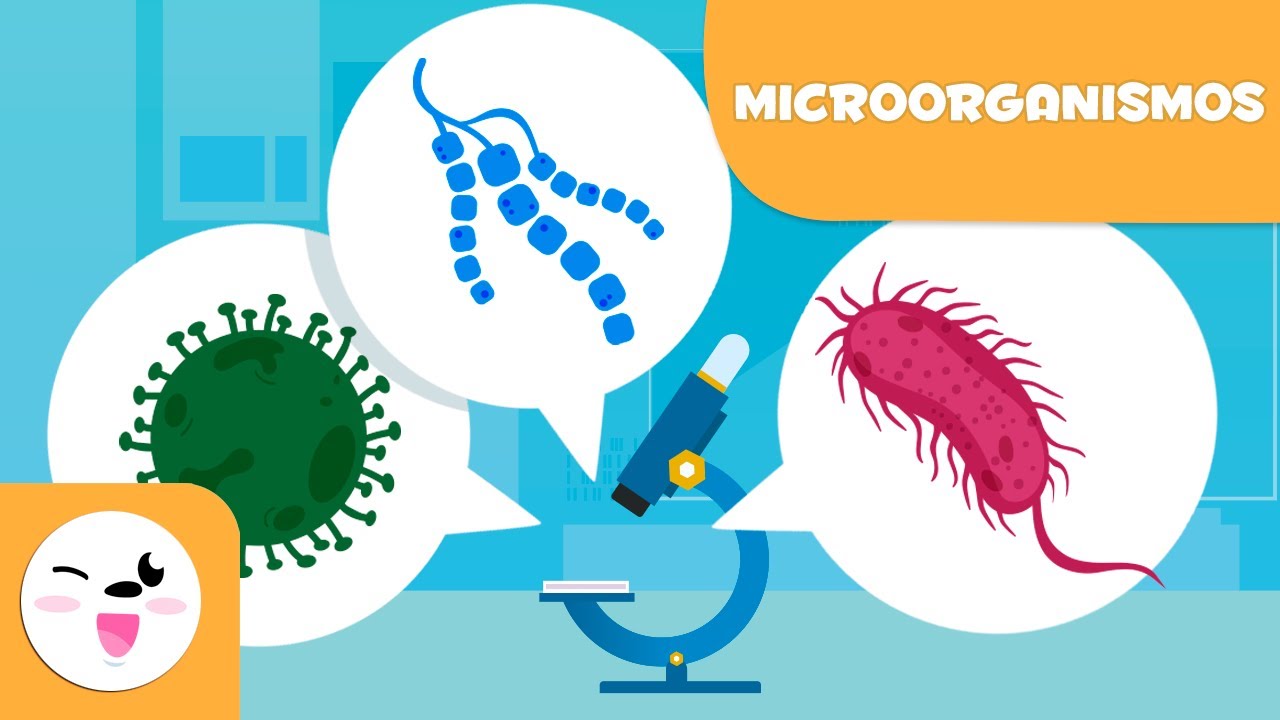 ¿Qué son los Microorganismos - Las bacterias, los virus y los hongos para niños