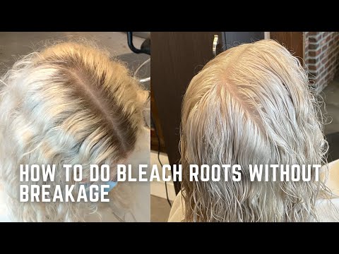 How to bleach your roots to White blonde without...