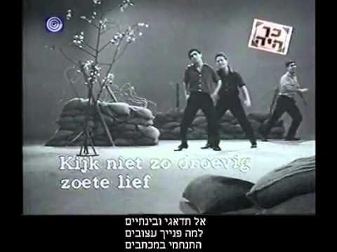 שיר אהבה חיילי (Shir ahava hayali), התרנגולים ,  השיר והמילים