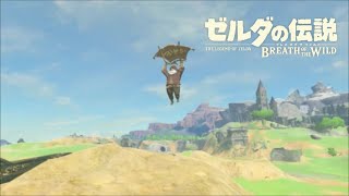 【2人実況】ゼルダの伝説ブレス オブ ザ ワイルド Part3