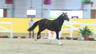 Vente aux enchères de Munich : 300.000 € pour le Top Price