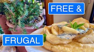 3 FRUGAL HABITS TO SAVE MONEY | FREE | CHEAP | FORAGED #personalfinance