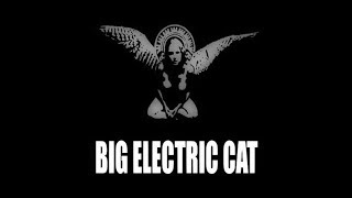 Big Electric Cat - Paris Skyes