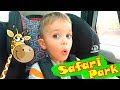 Vlad And Nikita Family Trip To Safari Park