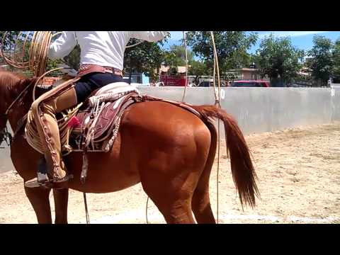 Juan soltero @  tavo sanchez