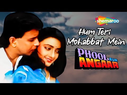 Hum Teri Mohabbat Mein (Full Audio) — watch video