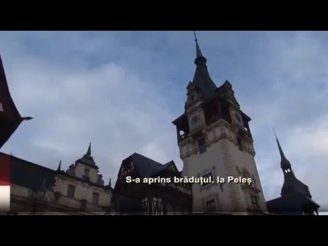 S-a aprins bradutul, la Peles