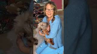 Little Aries – What a difference a day makes Little Aries – What a difference a day makes