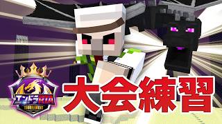 【マイクラ】 隙間時間全て練習　#エンドラRTAトーナメント