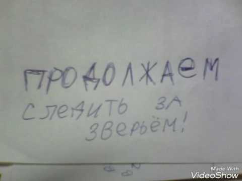 Продолжаем следитьиза живьём;!!