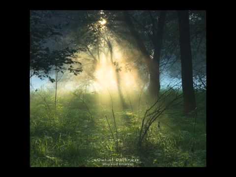 "Reunión y Final" by Fernando Velazquez