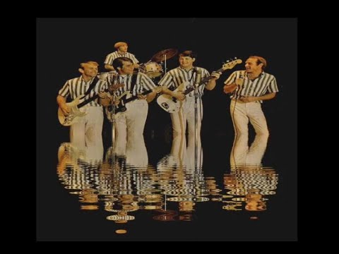 the beach boys - hang on to your ego - processed 'stereo'