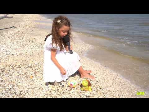 Maria Truica - Lulu e testoasa mea - live