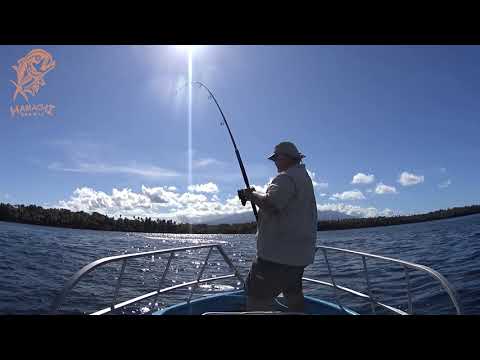 Hamachi Tackle Japan in action