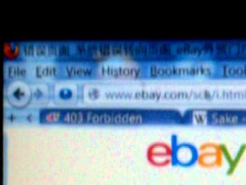 Ebay Error 403 and Chinese Server