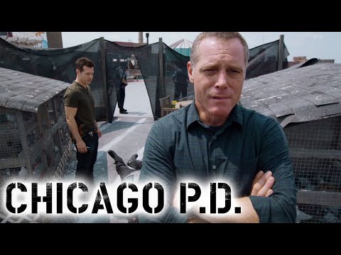Voight on the Hunt For His Friend's Killer | Chicago P.D.
